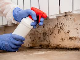 Asbestos and Lead Testing During Mold Inspection in New Albany, MS